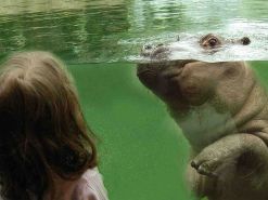 KÖLNER ZOO