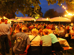 Sommernacht am Rhein