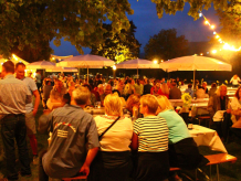 Sommernacht am Rhein