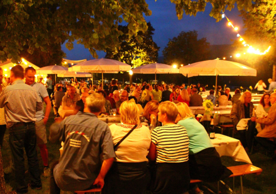 Sommernacht am Rhein
