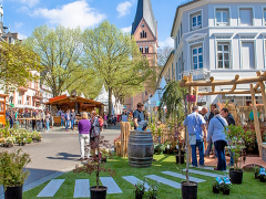 Fühl Dich Frühlich