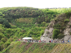 Mittelrheinischer Weinfrühling