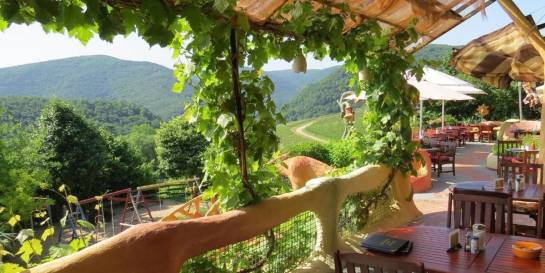 FÖRSTERS WEIN-TERRASSEN